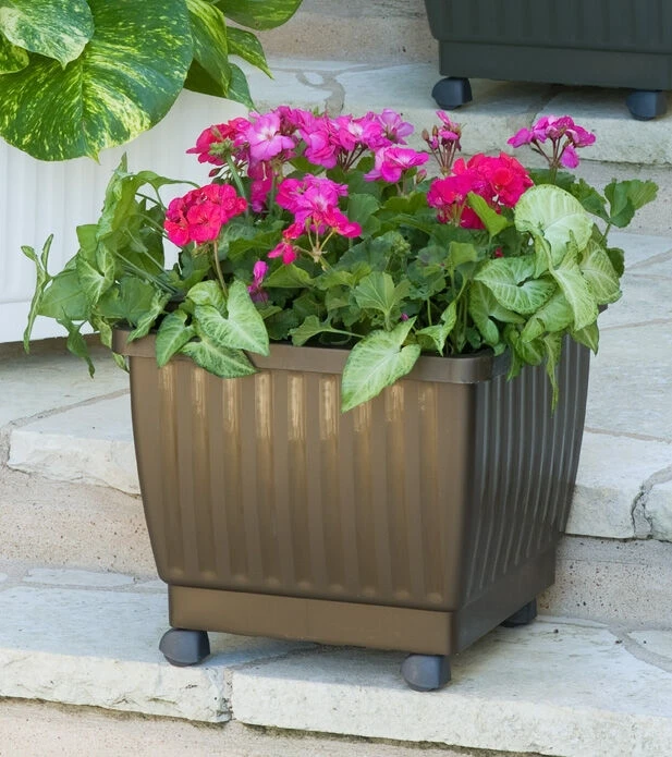 Self-Watering Rolling Planters, 15" 3 Self-Watering Rolling Planters, 15"