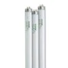 4' SunLite® T-8 Bulbs, Set Of 3 -Garden Serie Store 34745 001ed tif