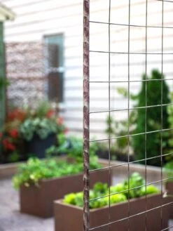 Jardin Rose Arch -Garden Serie Store 38690 9948 tif