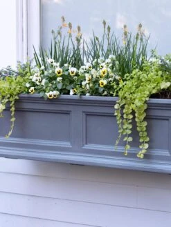 Fairfield Self-Watering Window Box, 3’ -Garden Serie Store 39 344 9360 tif