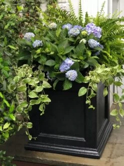 Fairfield Self-Watering Square Planter, 20” X 20” -Garden Serie Store 39 618 205V tif