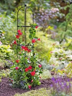 Essex Round Trellises 13 Essex Round Trellises -Garden Serie Store 39544 2267 tif