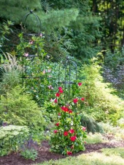 Essex Round Trellises 11 Essex Round Trellises -Garden Serie Store 39545 2286 tif