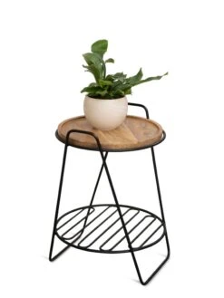 Hairpin Plant Stand With Shelf -Garden Serie Store 3 4 crop 8612670 2216