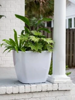 Viva Square Self-Watering Rolling Planter, 20" Diameter, Set Of 2 -Garden Serie Store 3 4 crop 8612930 0033 tif