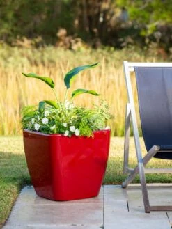 Viva Square Self-Watering Rolling Planter, 20" Diameter, Set Of 2 -Garden Serie Store 3 4 crop 8612930 0035 tif