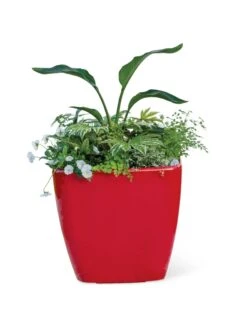 Viva Square Self-Watering Rolling Planter, 20" Diameter, Set Of 2 -Garden Serie Store 3 4 crop 8612930 0037 tif