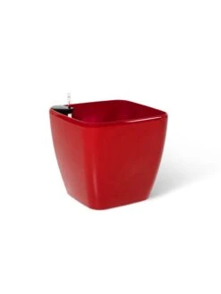 Viva Square Self-Watering Rolling Planter, 20" Diameter, Set Of 2 -Garden Serie Store 3 4 crop 8612930 0105
