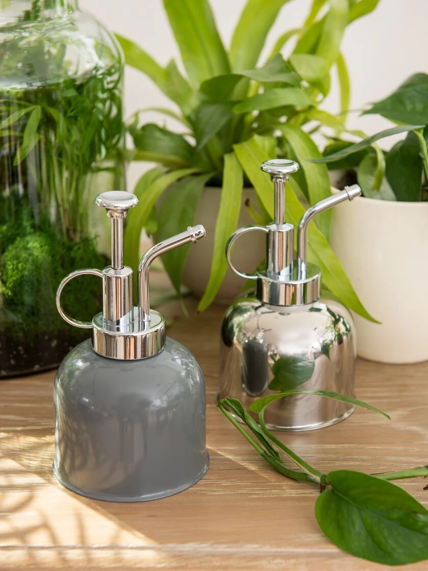 Indoor Plant Mister 3 Indoor Plant Mister