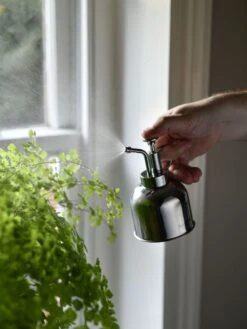 Indoor Plant Mister 16 Indoor Plant Mister -Garden Serie Store 3 4 crop 8612962 02V tif