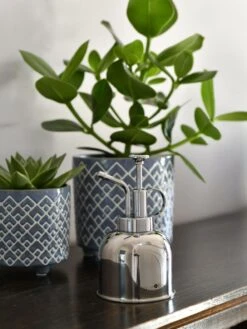 Indoor Plant Mister 15 Indoor Plant Mister -Garden Serie Store 3 4 crop 8612962 03V tif