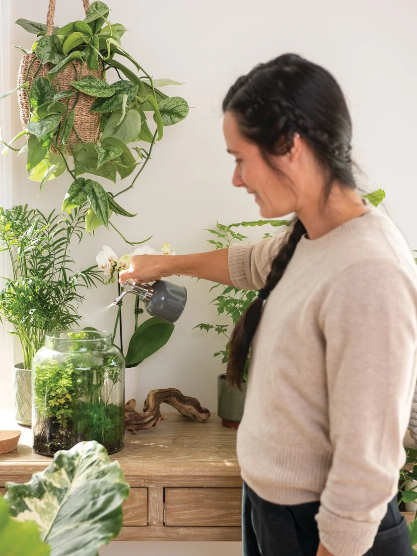 Indoor Plant Mister 8 Indoor Plant Mister - Image 6