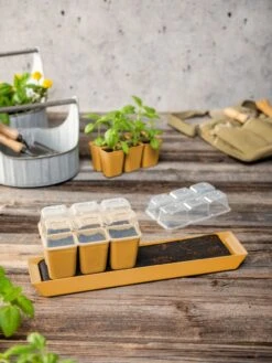 Gardener's Best® Humidity Dome, Set Of 2 -Garden Serie Store 3 4 crop 8613067 10063