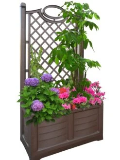 Separate Flower Box With Trellis 20 Separate Flower Box With Trellis -Garden Serie Store 3 4 crop 8613626 04V