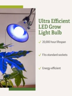 Miracle LED® Grow Light Bulb, Blue -Garden Serie Store 3 4 crop Miracle Bulb Blue 1