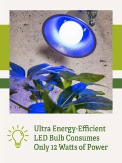 Miracle LED® Grow Light Bulb, Blue -Garden Serie Store 3 4 crop Miracle Bulb Blue 2