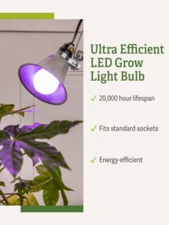 Miracle LED® Grow Light Bulb, Red And Blue -Garden Serie Store 3 4 crop Miracle Bulb RB 1