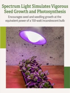 Miracle LED® Grow Light Bulb, Red And Blue -Garden Serie Store 3 4 crop Miracle Bulb RB 3