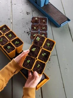 Gardener's Best® XL Seed Starting Kit -Garden Serie Store 40 135 6186