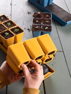 Gardener's Best® XL Seed Starting Kit -Garden Serie Store 40 135 6188