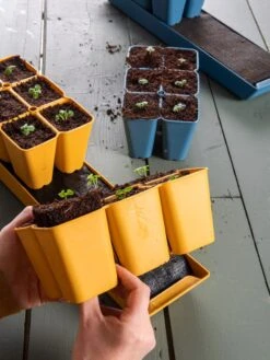 Coco Coir Seed Starting Mix -Garden Serie Store 40 135 6192 1