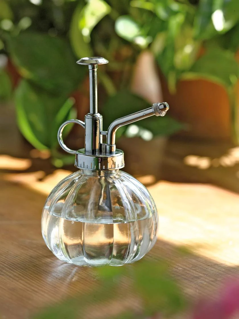 Houseplant Sprayer 3 Houseplant Sprayer