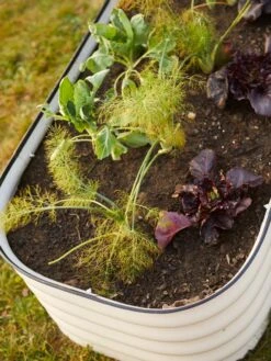 Birdies™ Modular Metal Raised Bed -Garden Serie Store 8586930 6019 tif