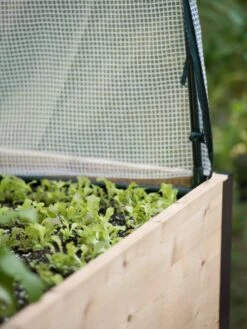 Elevated Planter Box, Frame And 2 Covers Kit, 2' X 8' 10 Elevated Planter Box, Frame And 2 Covers Kit, 2' X 8' -Garden Serie Store 8587631 265 tif 1