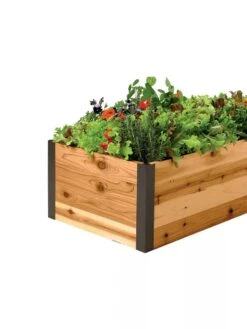 Deep Root Raised Beds, 14" Deep 2' Wide -Garden Serie Store 8587798 001E 1