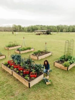 Deep Root Raised Beds, 14" Deep 4' Wide -Garden Serie Store 8587813 505 tif