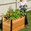 Elevated Raised Bed, 2' X 4' 2 Elevated Raised Bed, 2' X 4' -Garden Serie Store 8587822 675 tif