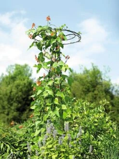 Essex Tuteur, 78" 11 Essex Tuteur, 78" -Garden Serie Store 8587861 4160 tif