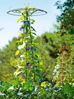 Essex Tuteur, 78" 13 Essex Tuteur, 78" -Garden Serie Store 8587861 5028 tif