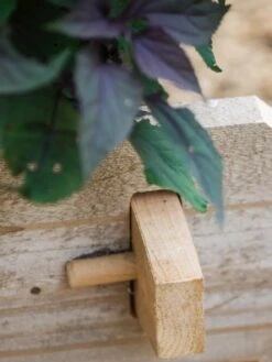 Farmstead Cedar Raised Garden Beds, 2' -Garden Serie Store 8588144 12V tif