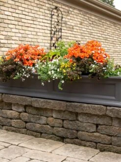 Fairfield Self-Watering Window Box, 5’ -Garden Serie Store 8588938 105V tif