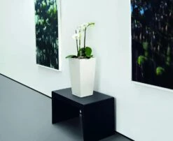 Lechuza® Cubico Color Tall Self-Watering Planters -Garden Serie Store 8589485 03V tif