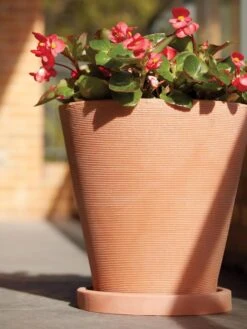 Universal Round Planter Saucers -Garden Serie Store 8589526 001V tif