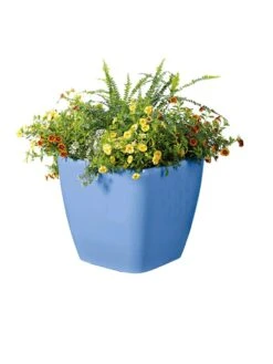 Viva Square Self-Watering Rolling Planter, 14" Diameter -Garden Serie Store 8589777BL 6080 tif