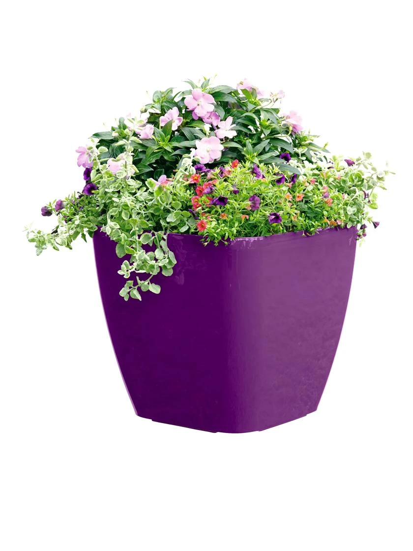 Viva Square Self-Watering Rolling Planter, 17.5" Diameter 6 Viva Square Self-Watering Rolling Planter, 17.5" Diameter - Image 4
