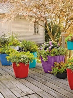 Viva Round Self-Watering Rolling Planter, 14" Diameter -Garden Serie Store 8589778 8000 tif 1