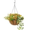 AquaSav™ Oxford Hanging Basket, 14" -Garden Serie Store 8589789 028 tif