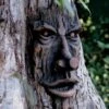 Friendly Ent Tree Face 1 Friendly Ent Tree Face -Garden Serie Store 8589841 001v