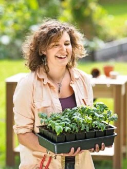 Growease Seed Starter Kit -Garden Serie Store 8589987 0446 tif