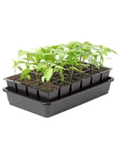 Growease Seed Starter Kit -Garden Serie Store 8589987 1153 tif