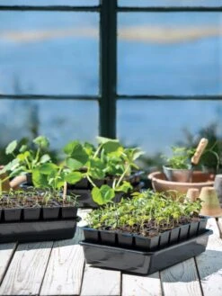 Growease Seed Starter Kit -Garden Serie Store 8589987 7871 tif