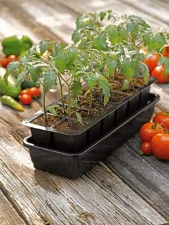 Growease Seed Starter Kit -Garden Serie Store 8589988 1056 tif