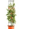 Gardener's Best® Tomato Grow Bag Set -Garden Serie Store 8590013PP 151 Tomato grow bag set tif