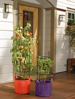 Gardener's Best® Tomato Grow Bag Set 9 Gardener's Best® Tomato Grow Bag Set -Garden Serie Store 8590013 170 tif