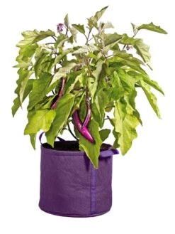 Gardener's Best® Universal Grow Bag 12 Gardener's Best® Universal Grow Bag -Garden Serie Store 8590024PR 214 tif