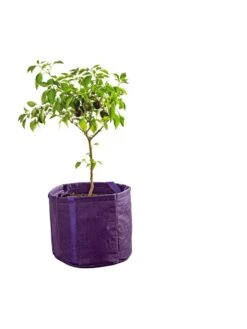 Gardener's Best® Universal Grow Bag 14 Gardener's Best® Universal Grow Bag -Garden Serie Store 8590024PR 249 tif